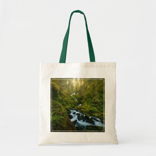 Waterfalls  Olympic National Park Washington Tote Bag