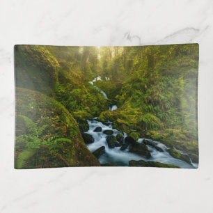 Waterfalls   Olympic National Park, Washington Trinket Tray