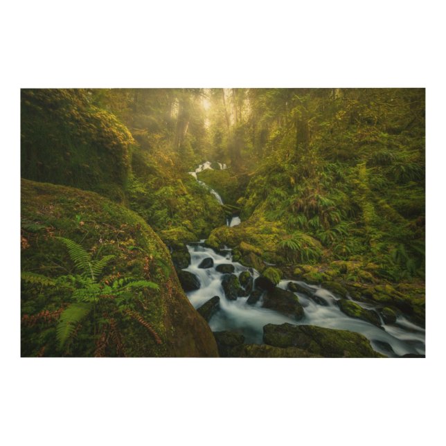 Waterfalls | Olympic National Park, Washington Wood Wall Art (Front)