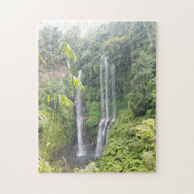 Waterfalls on Bali,Indonesia Jigsaw Puzzle (Vertical)