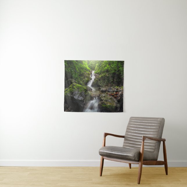 Waterfalls | Phayao Mountain National Park Tapestry (In Situ (Horizontal))