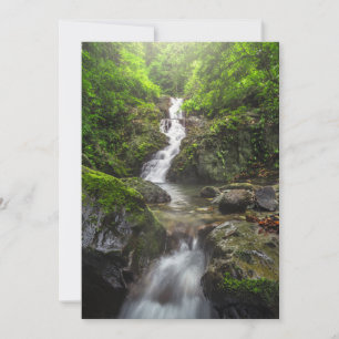Waterfalls Phayao Mountain National Park Thank You Card