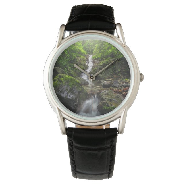 Waterfalls | Phayao Mountain National Park Watch (Front)
