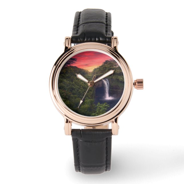 Waterfalls | Rainbow Falls, Hilo, Hawaii Watch (Front)