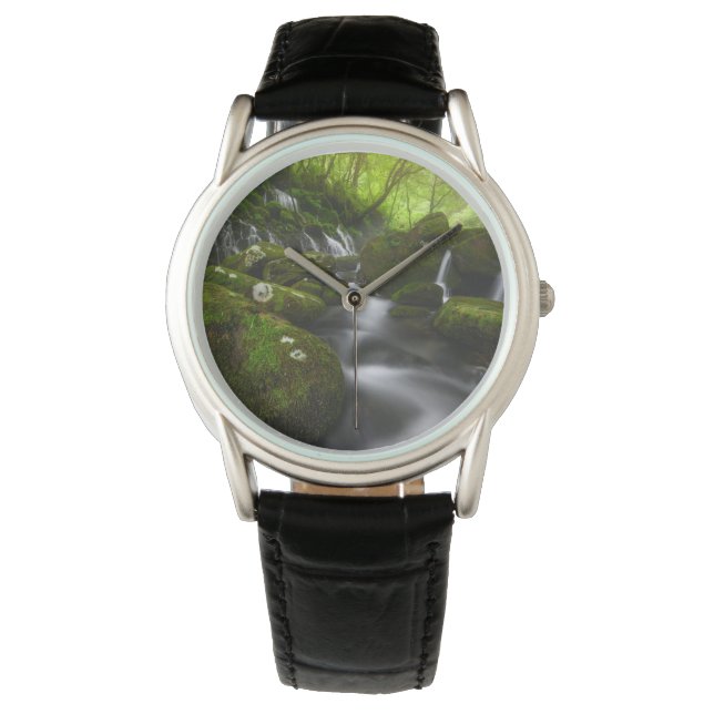 Waterfalls | Satoyama Kisakata Waterfalls Watch (Front)
