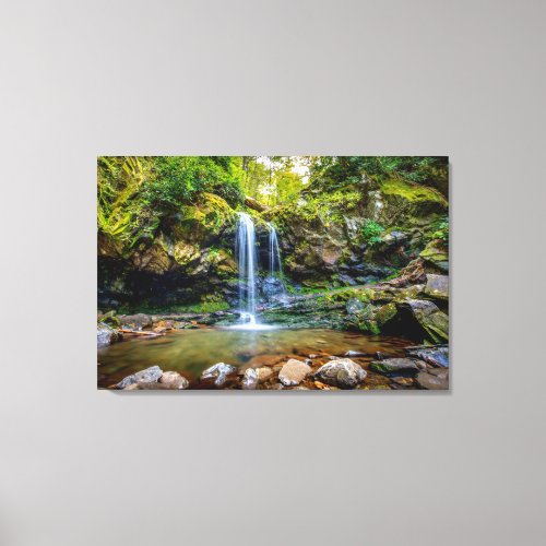 Waterfalls  Smokey Mountain National Park Canvas Print