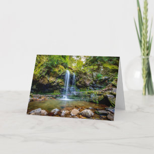 Waterfalls Smokey Mountain National Park Card