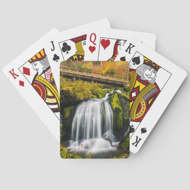 Waterfalls | Triberg Waterfalls, Germany Poker Cards (Back)