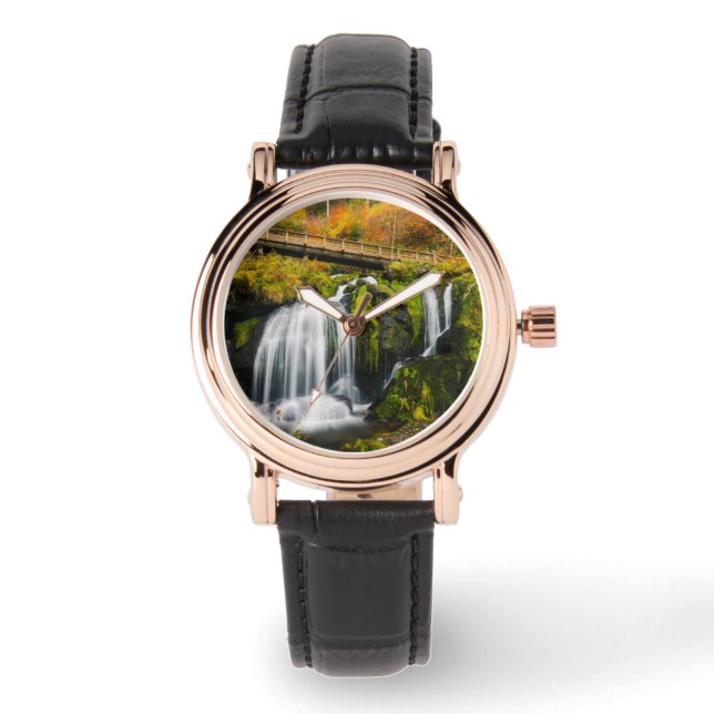 Waterfalls | Triberg Waterfalls, Germany Watch (Front)