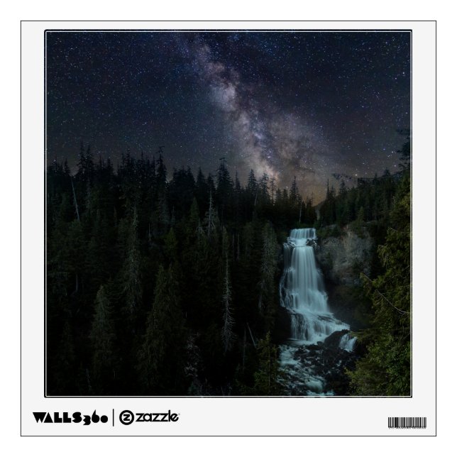 Waterfalls | Whistler Olympic Park Wall Decal (Front)