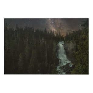 Waterfalls Whistler Olympic Park Wood Wall Art