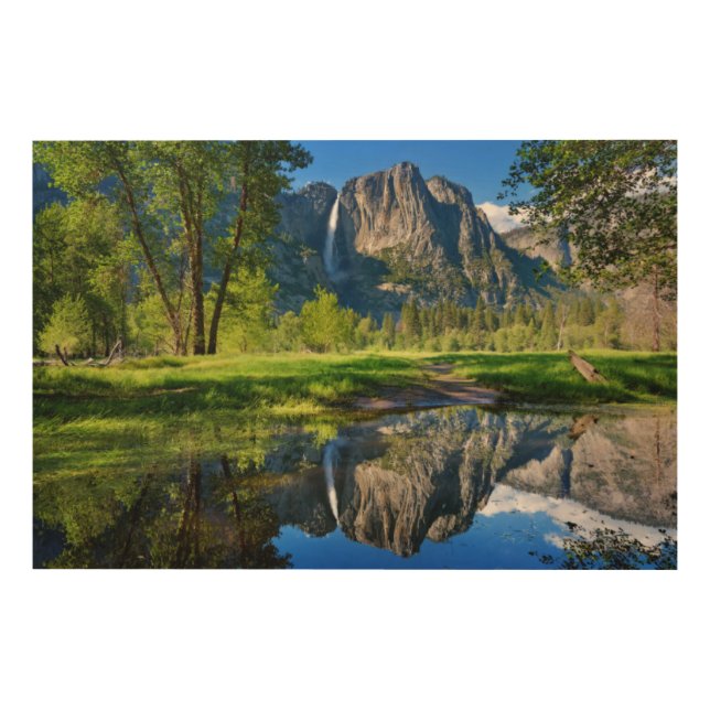 Waterfalls | Yosemite Falls, California Wood Wall Art (Front)