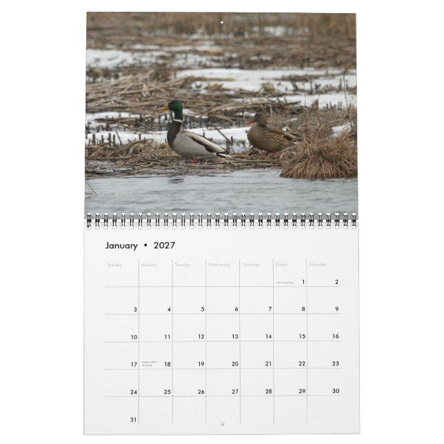 Waterfowl 2010 Calendar (Jan 2027)