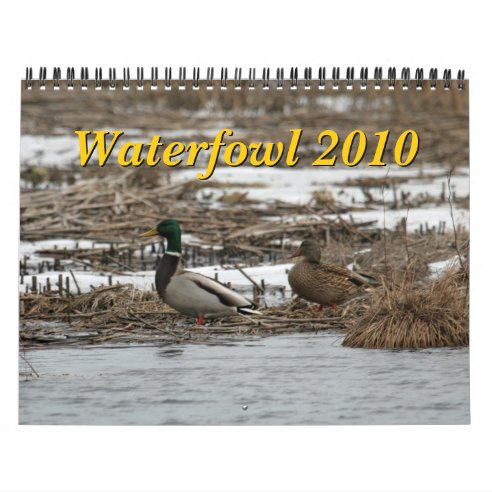 Duck Calendars | Zazzle