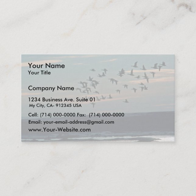 Waterfowl, Arctic National Wildlife Refuge Business Card (Front)