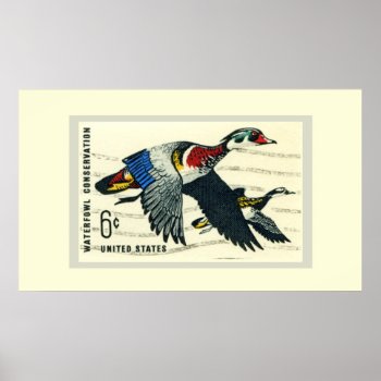 Waterfowl Conservation Poster by camcguire at Zazzle