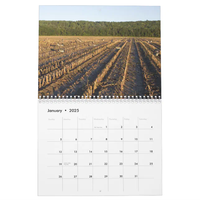 Waterfowl Hunting Calendar Zazzle