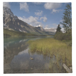Waterfowl lake along the Icefields parkway, Napkin