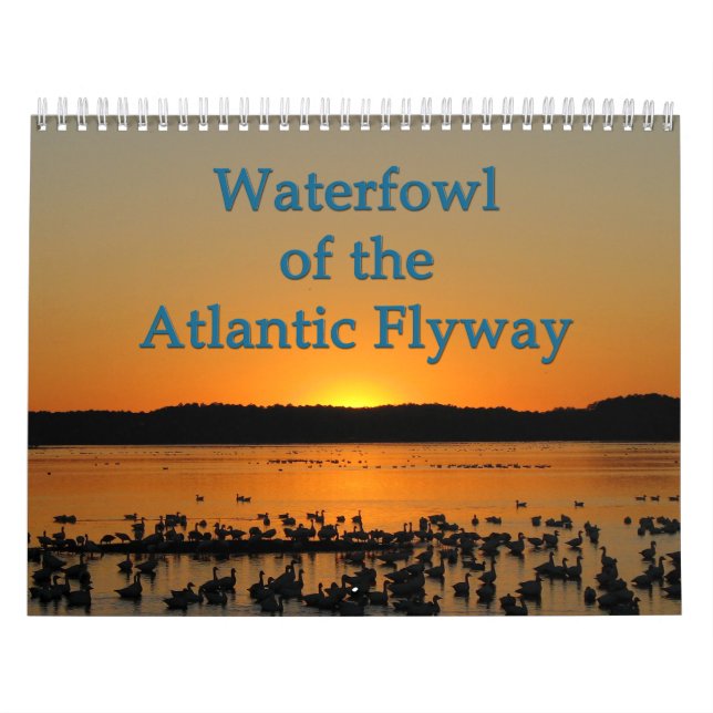 Waterfowl of the Atlantic Flyway Calendar (Cover)