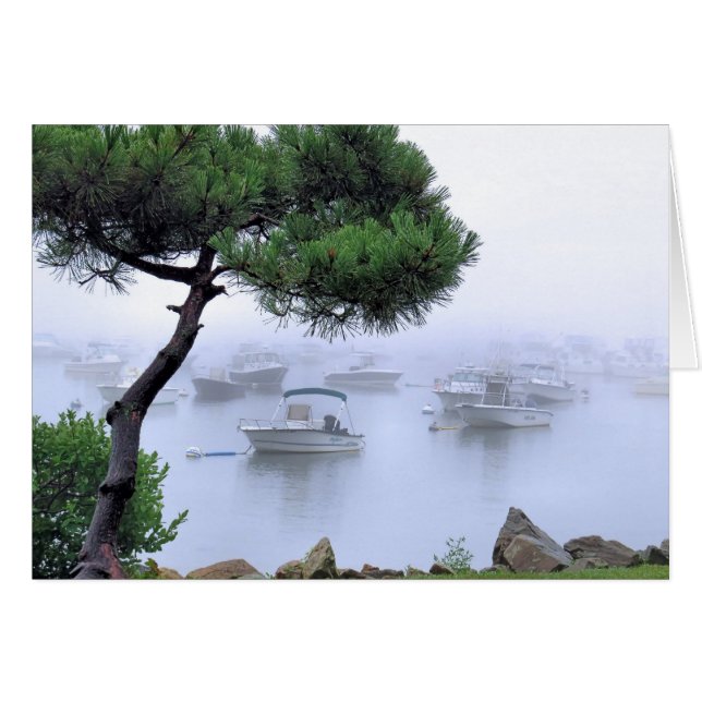 Waterfront Fog Cards (Front Horizontal)
