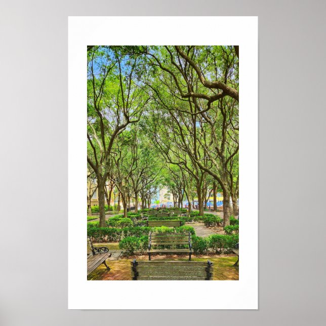 Waterfront Park in Charleston, SC poster (Front)