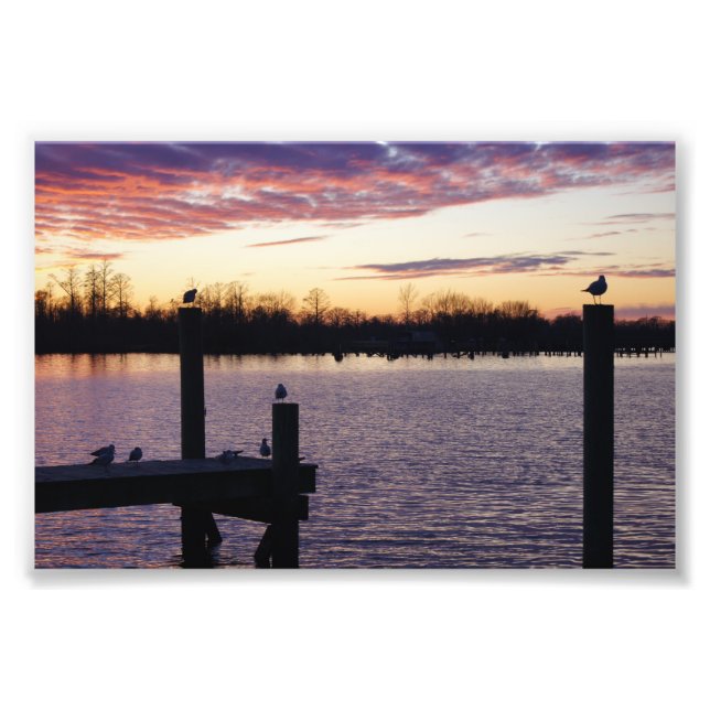 Waterfront Photo Print (Front)