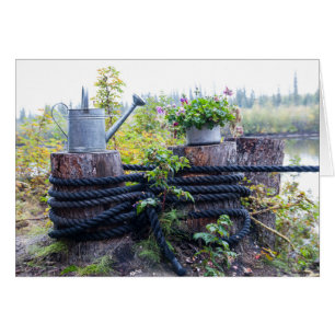 Watering Can and Pot of Flowers Photograph Cards