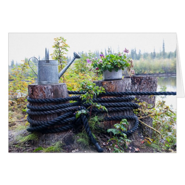 Watering Can and Pot of Flowers Photograph Cards (Front Horizontal)