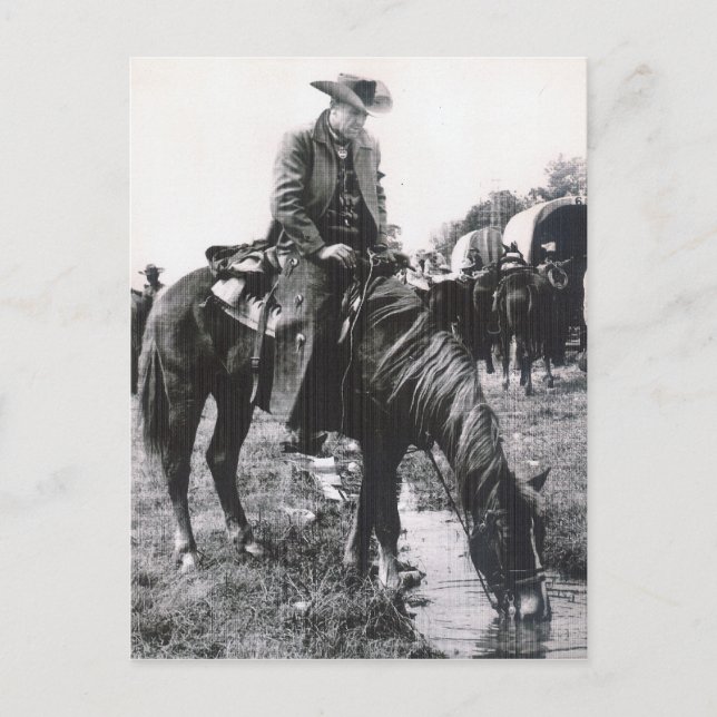 WATERING HOLE #57 POSTCARD (Front)