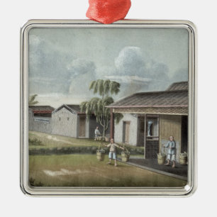 Watering tea plants (w/c on paper) metal ornament