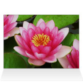 Waterlilies Card (Inside Horizontal (Top))