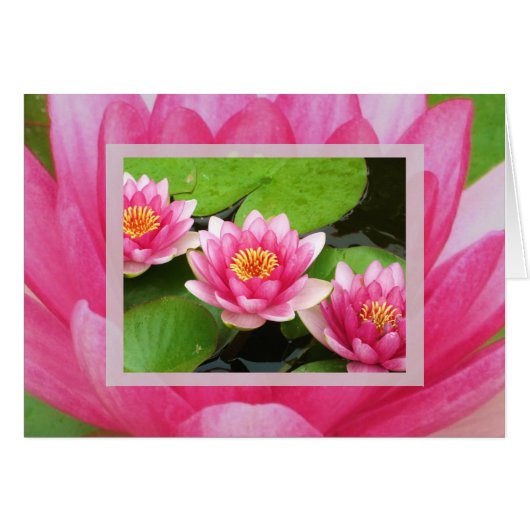 Waterlilies Card (Front Horizontal)
