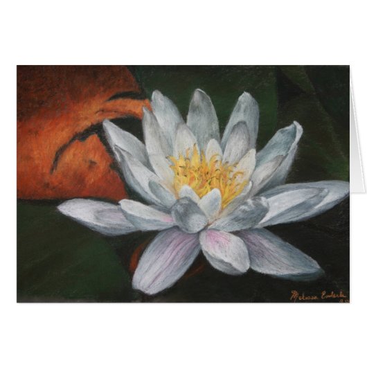 Waterlilly with Dead Pad Cards (Front Horizontal)