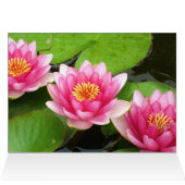 Waterlily Card (Inside Horizontal (Top))