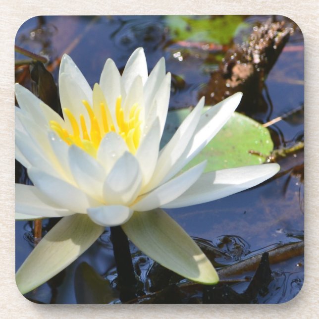 Waterlily Coaster (Front)