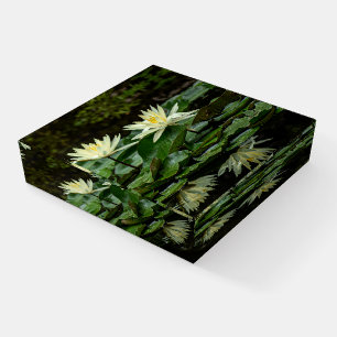 "Waterlily Duet" Paperweight