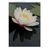 Waterlily Flower Card (Front)