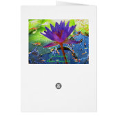 Waterlily happiness cards (Back)