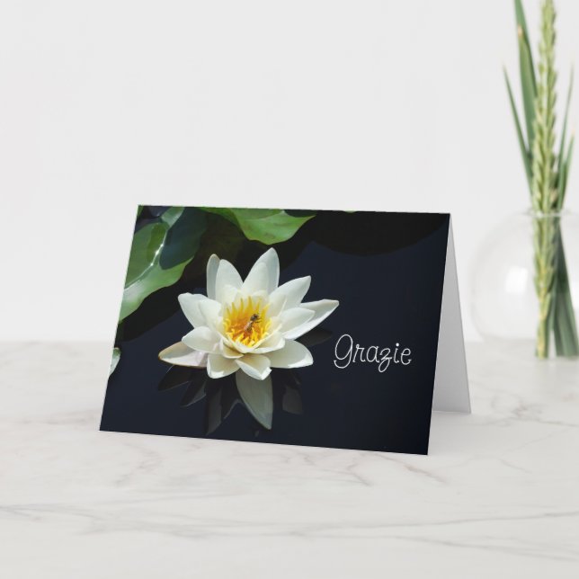 waterlily Italian thank you Card (Front)