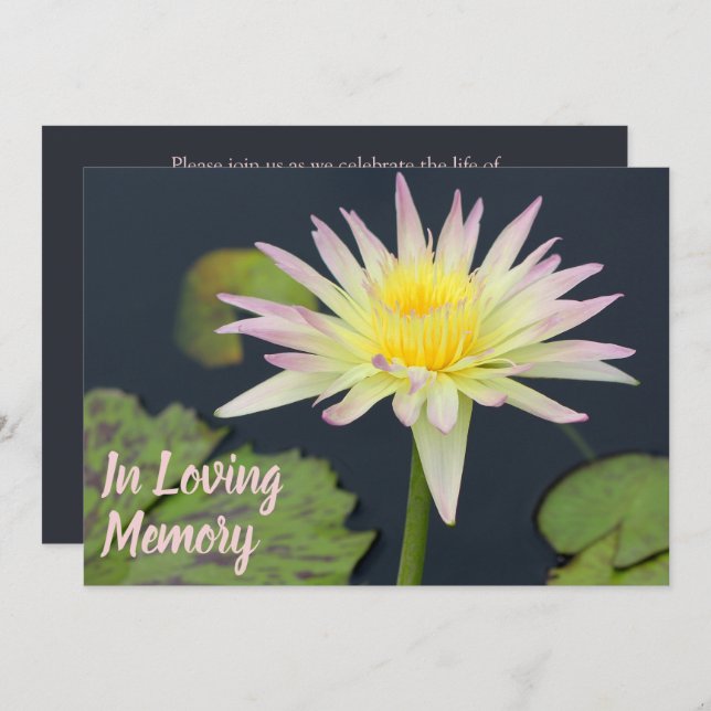 Waterlily Memorial Service Funeral Announcement (Front/Back)