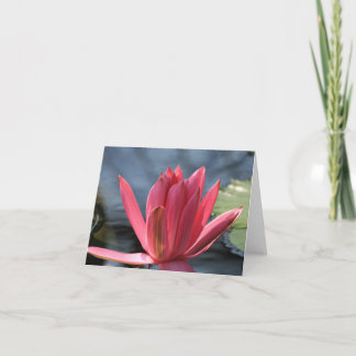 Waterlily Note Card