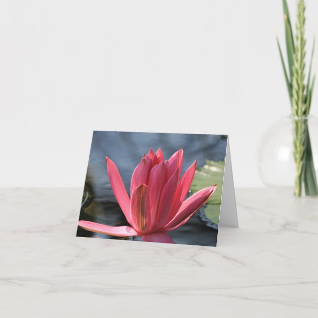 Waterlily Note Card (Front)