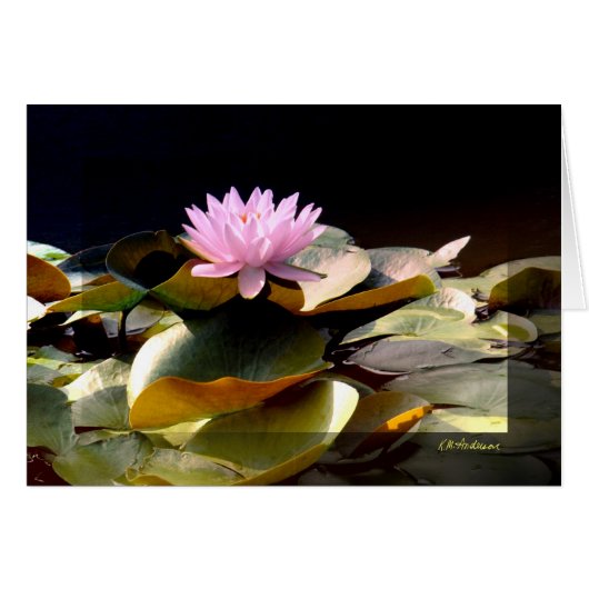 Waterlily Pink I Cards (Front Horizontal)