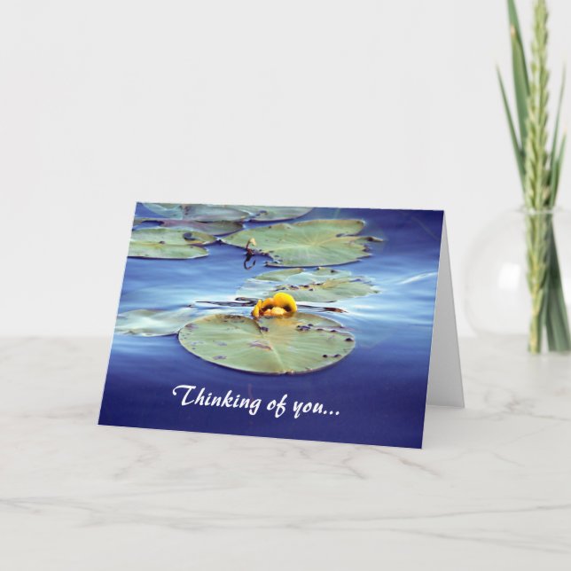 Waterlily Thinking of you... Greeting Card (Front)