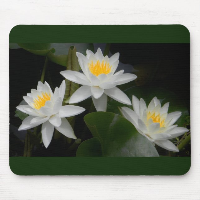 Waterlily Trio Mousepad (Front)