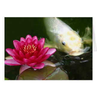 Waterlily with Koi Cards