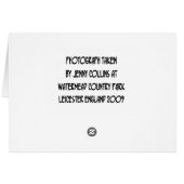 Watermead Country Park Cards (Back Horizontal)