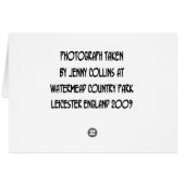 Watermead Country Park Cards (Back Horizontal)
