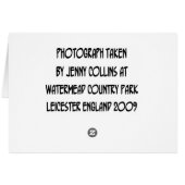 Watermead Country Park Cards (Back Horizontal)