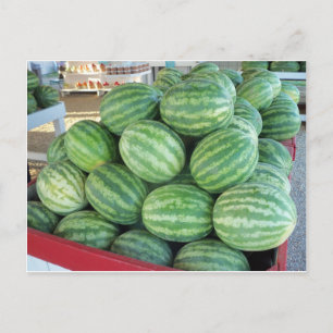 Watermelon Bundle Postcard